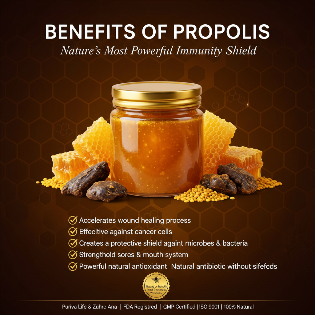 Puriva Life & Zühre Ana Propolis Benefits Infographic